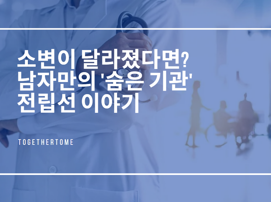 소변이 달라졌다면? 남자만의 '숨은 기관' 전립선 이야기