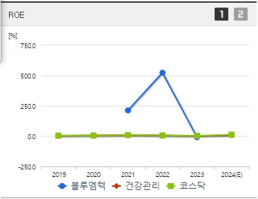 블루엠텍 주가 ROE