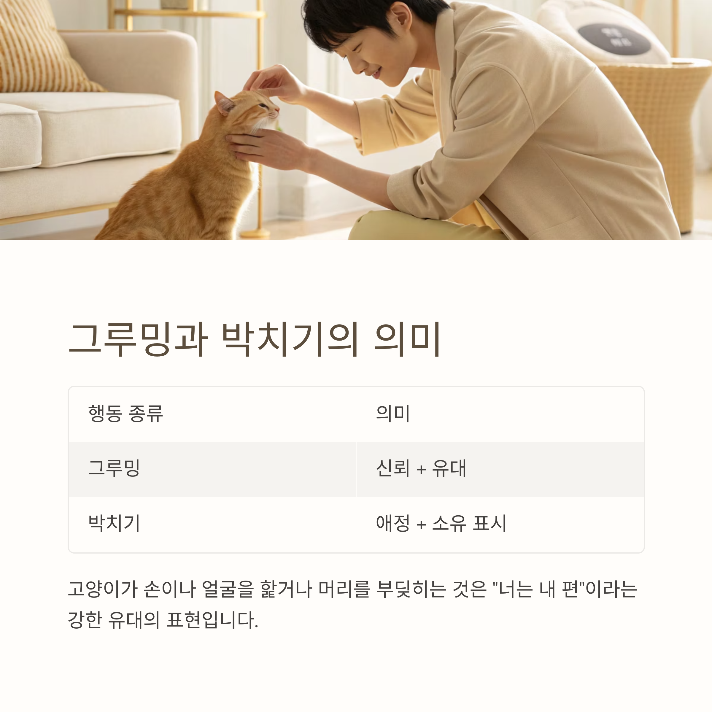 그루밍과 박치기의 의미