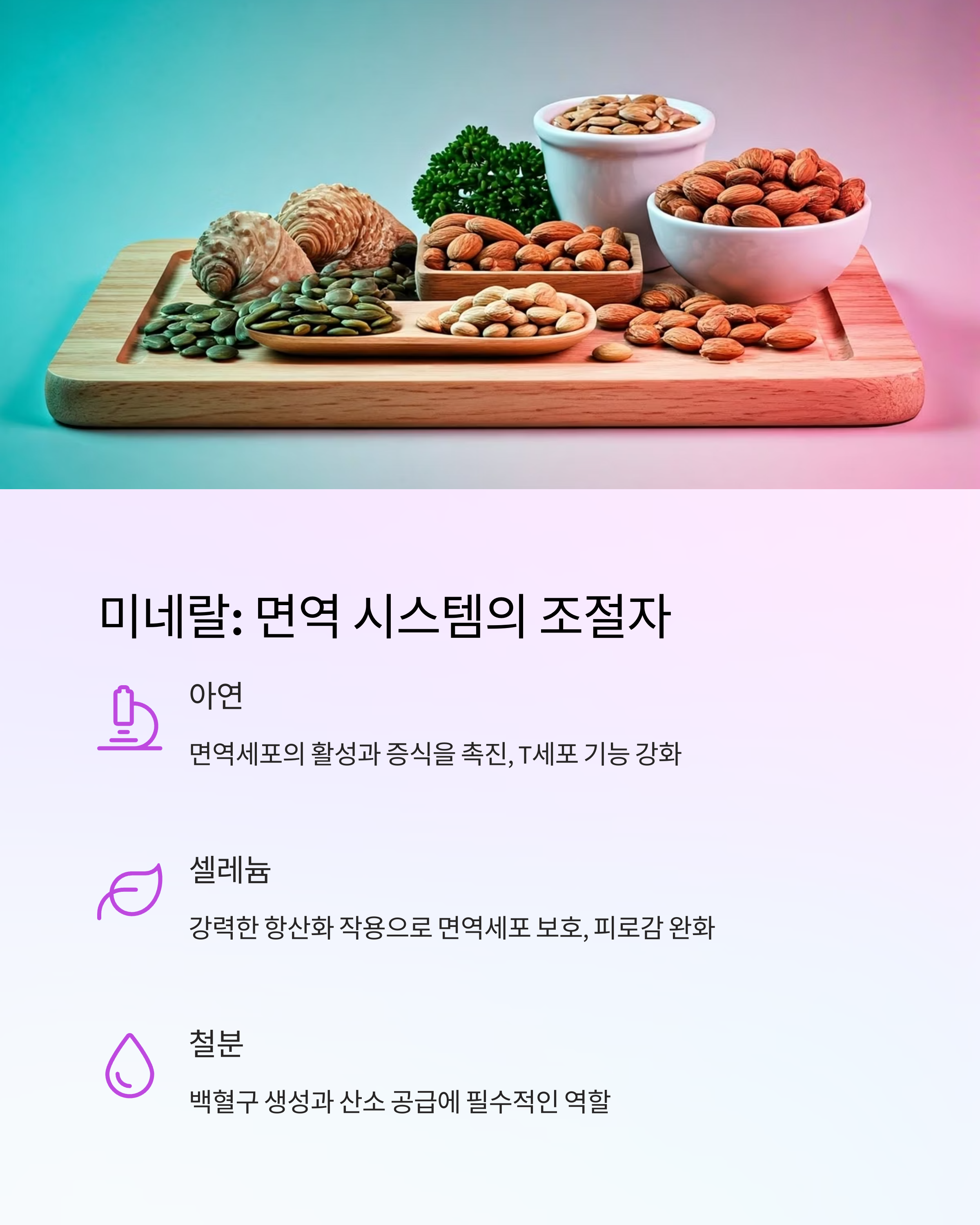 항암치료 미네랄 면역 시스템의 조절자