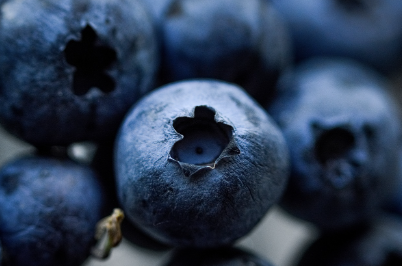 블루베리의 효능: 작은 과일, 큰 건강의 비밀