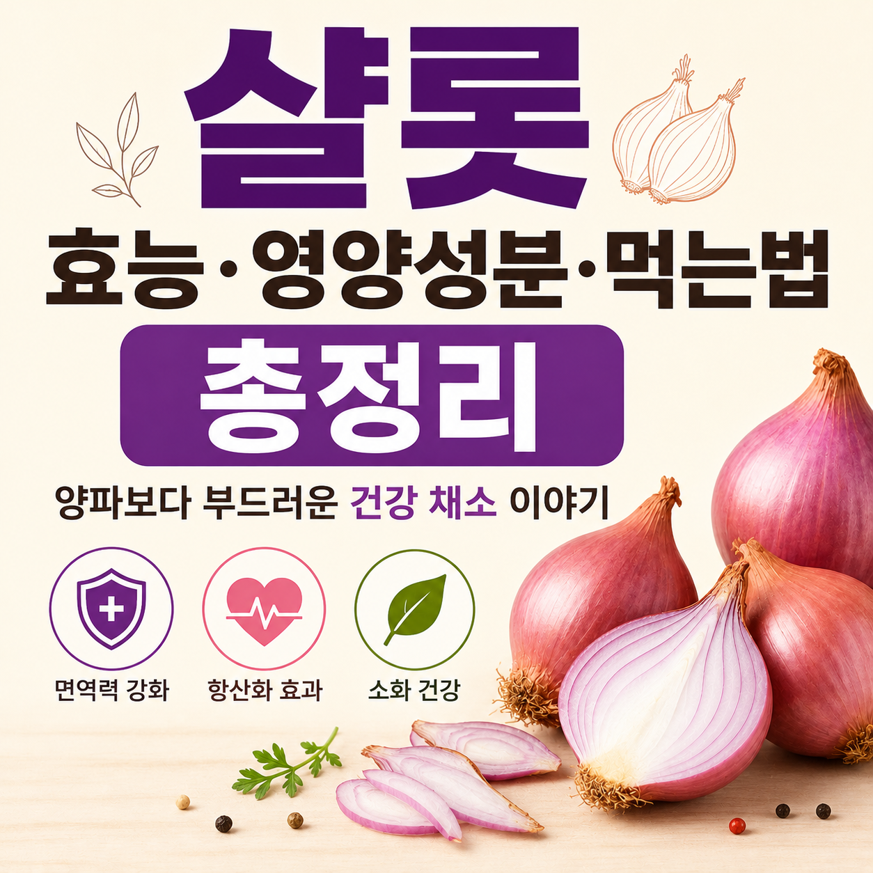 샬롯 효능