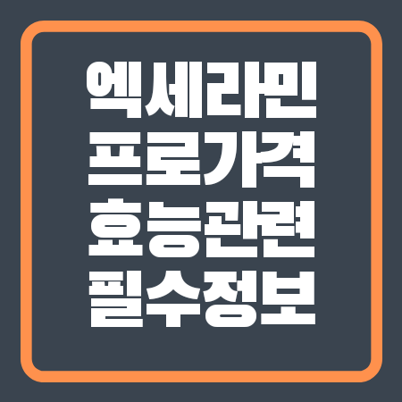 엑세라민 프로 가격