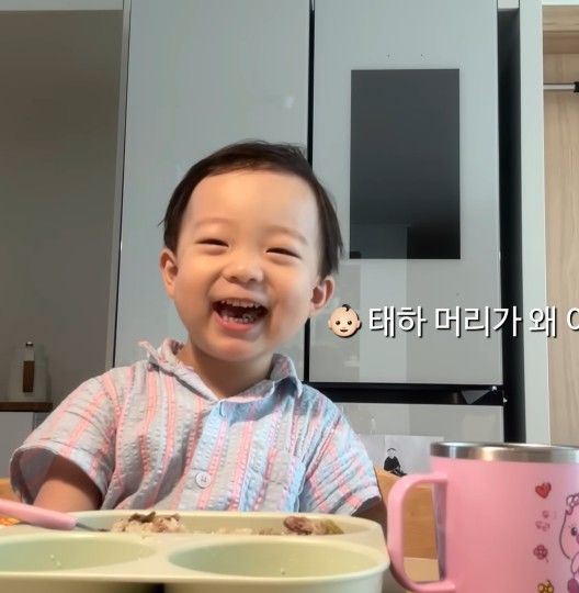 태요미네 태하