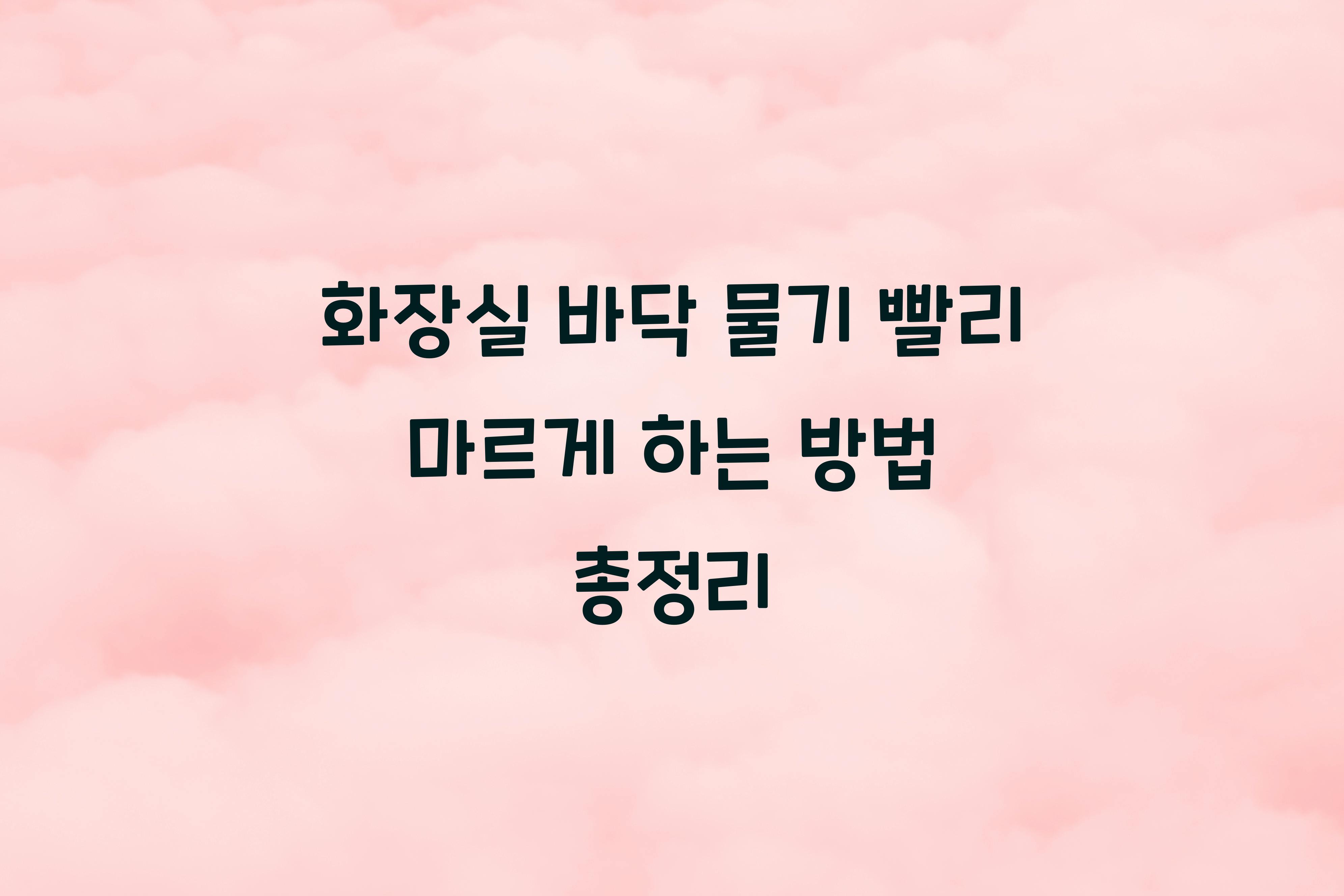 화장실 바닥 물기 빨리 마르게 하는 방법