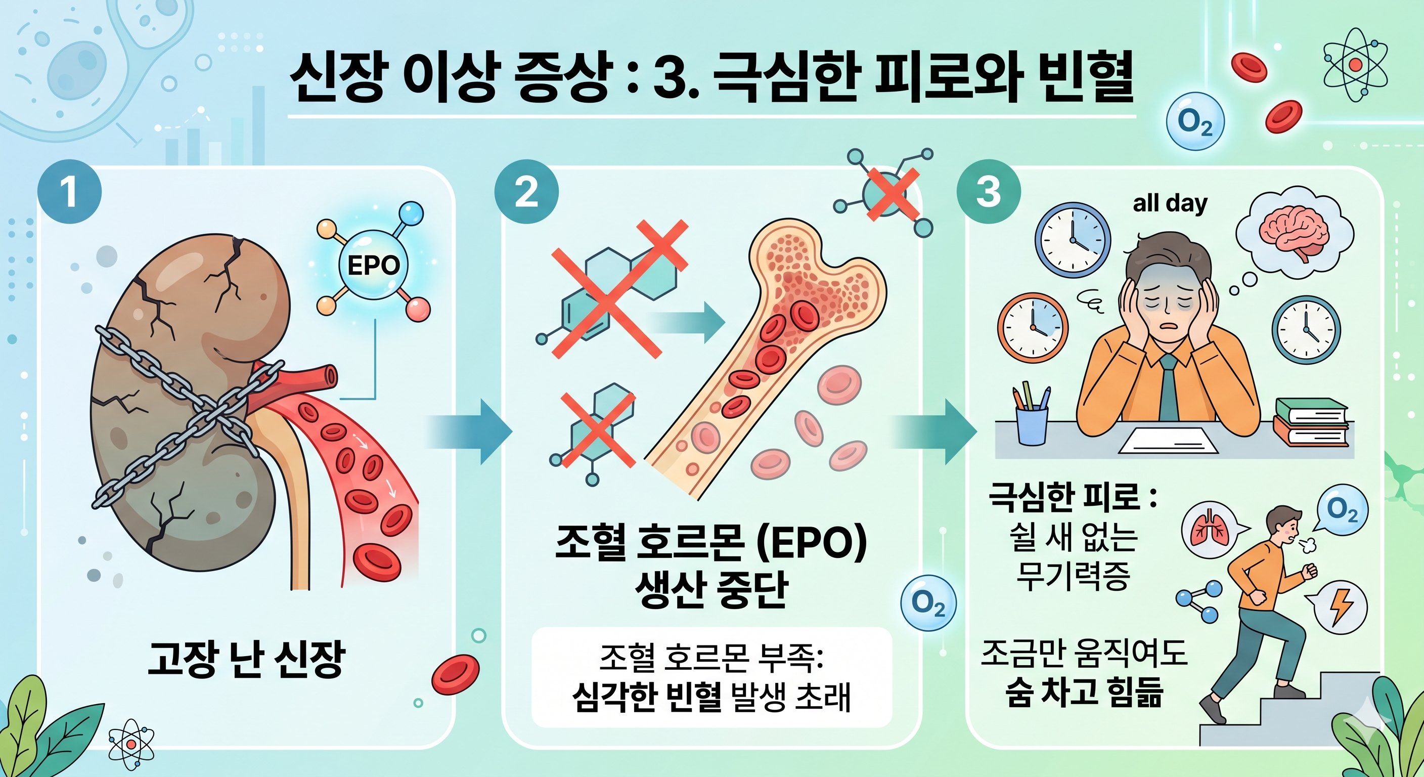 신장이 망가지면 조혈 호르몬이 분비되지 않아 빈혈 발생