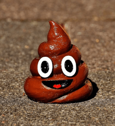 똥(대변)을 만지는 꿈 해몽 상징 이미지