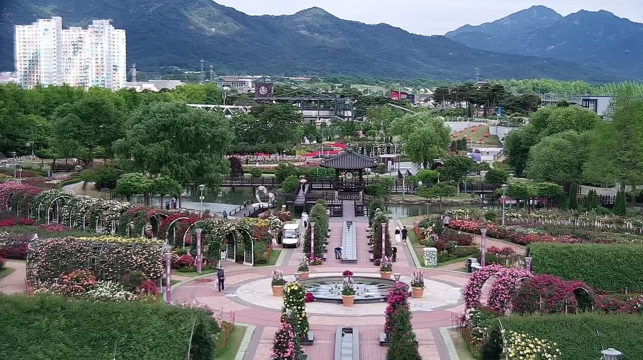 곡성세계장미축제 2025