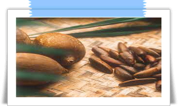 자보티카바 효능