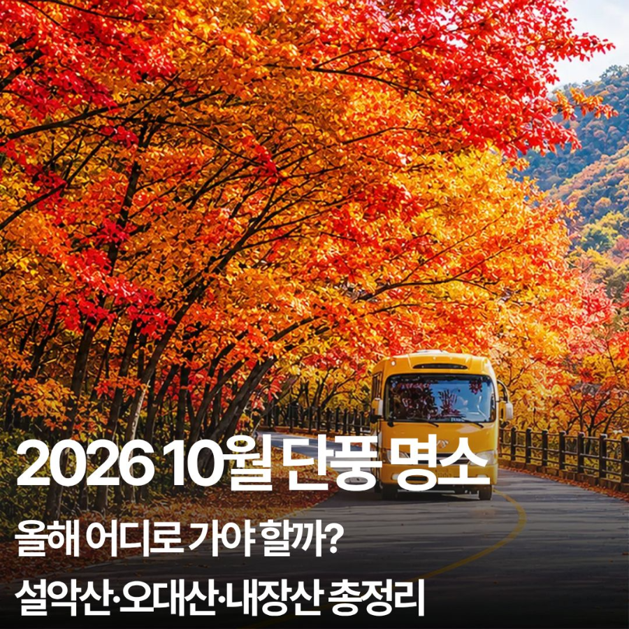 10월 단풍 명소