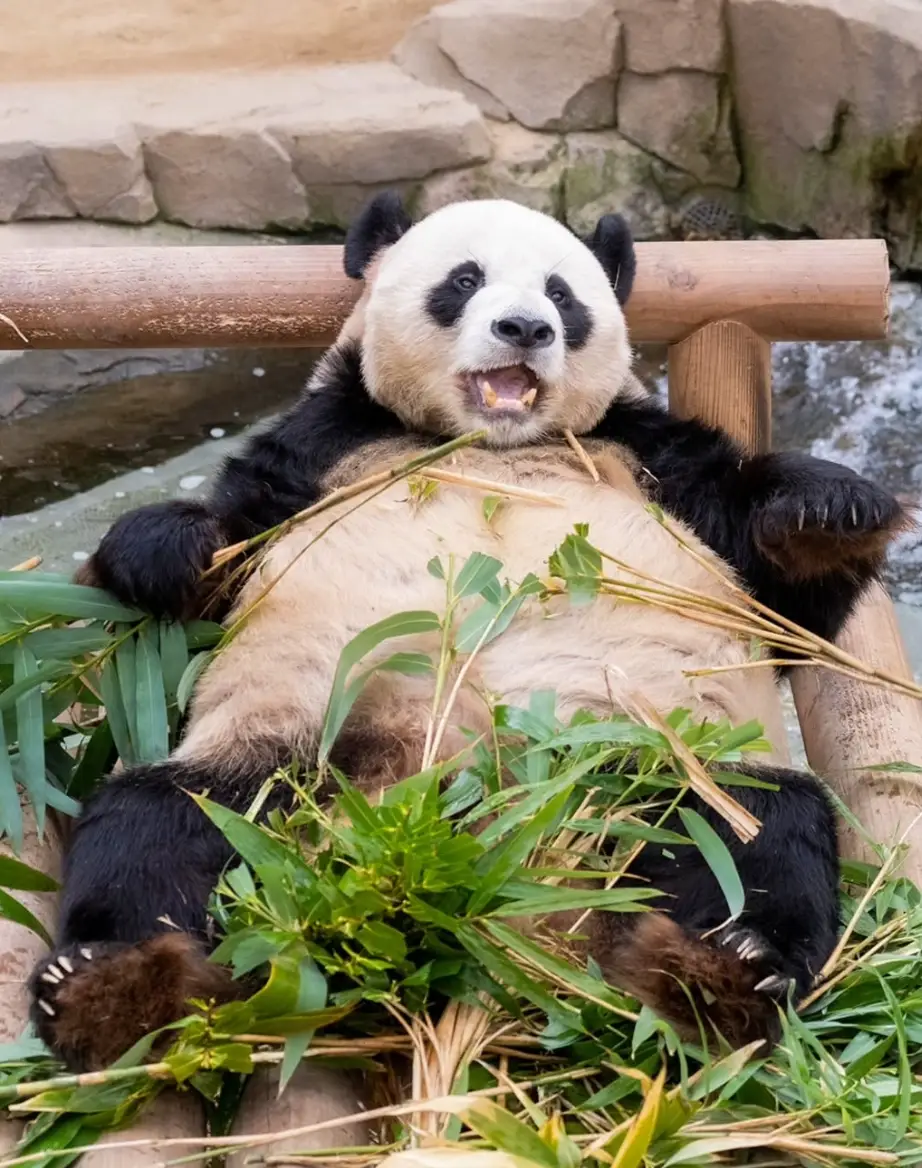 에버랜드-입장료-할인-자유이용권-가격