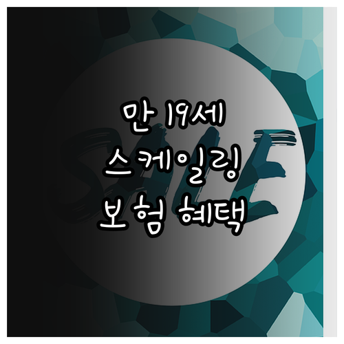 만 19세 이상 필독 스케일링 보험 