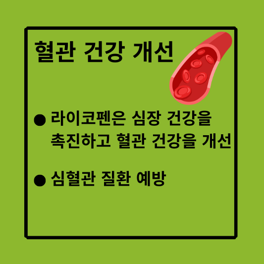 혈관 건강 개선