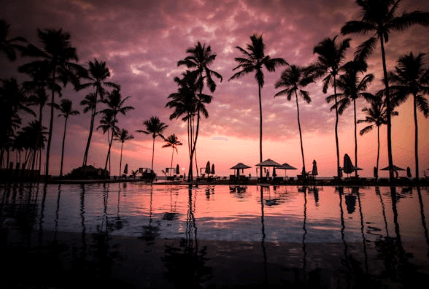 신혼여행지 추천 순위