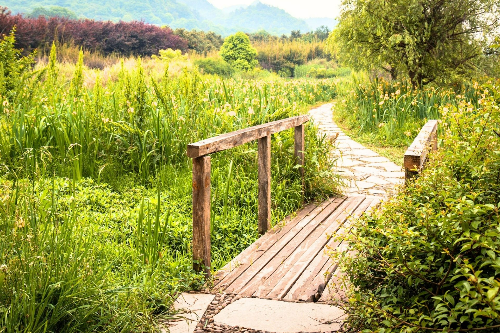산 속 작은 길