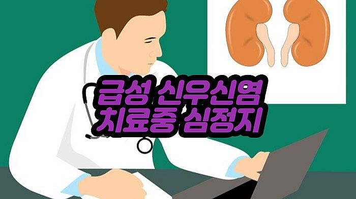 급성 신우신염 치료 중 심정지 발생 사건