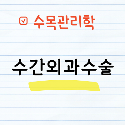 수간외과수술