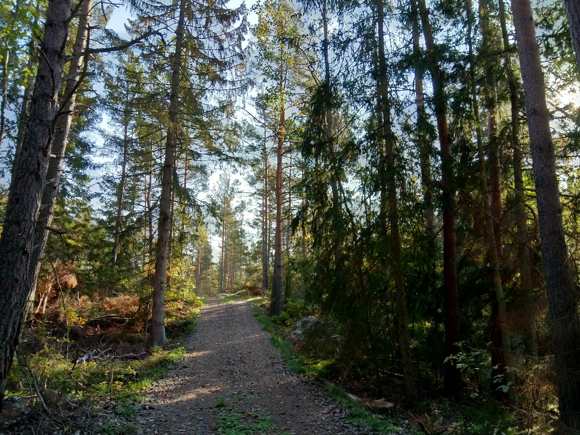 느린 삶의 완성 – 삶이 깊어지는 속도는 언제나 조용합니다