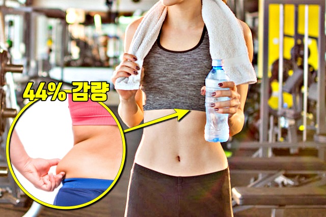 다이어트 식이요법,물하루2리터,감량 탄단지 비율