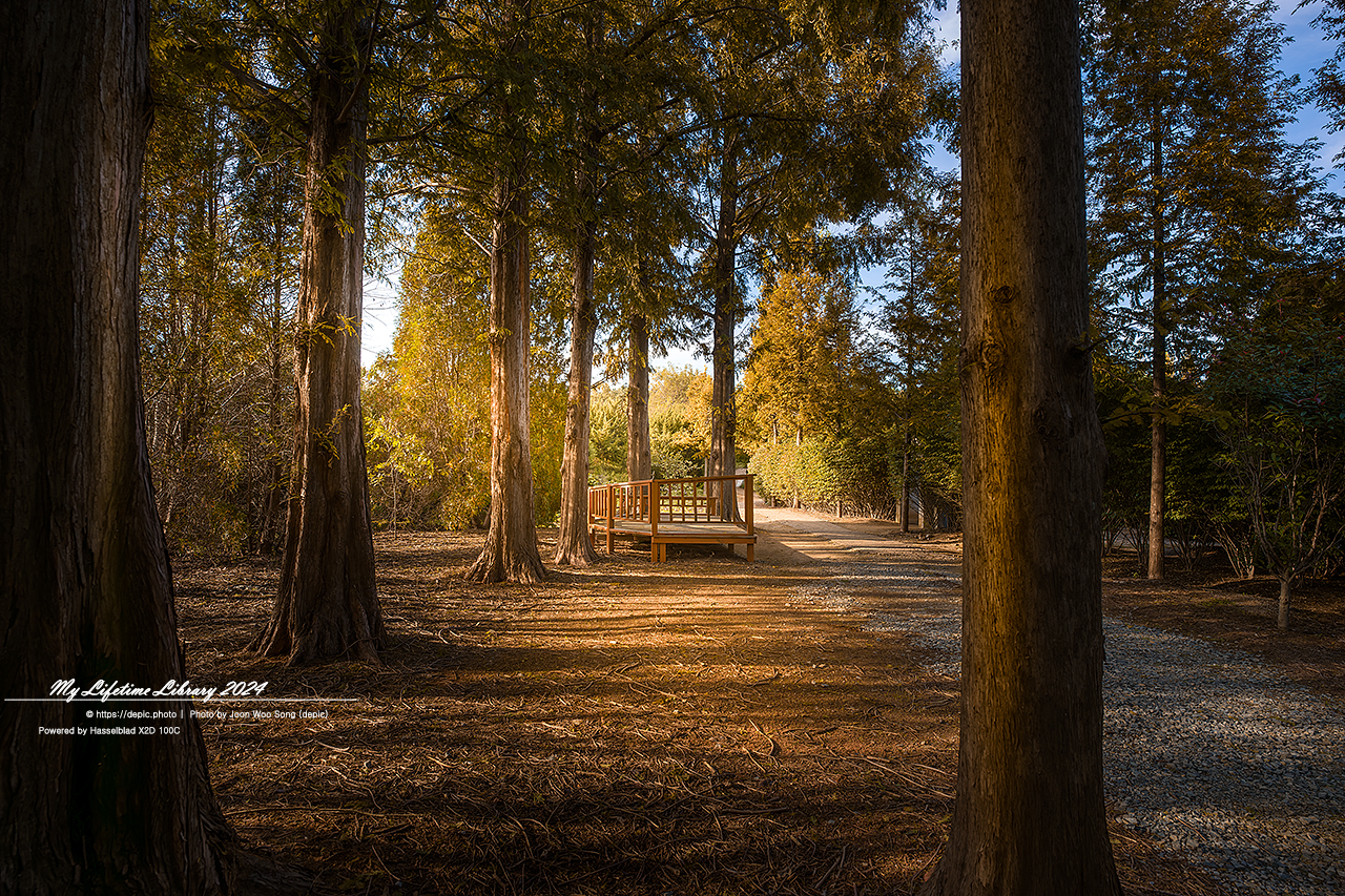 태안 청산수목원 가을