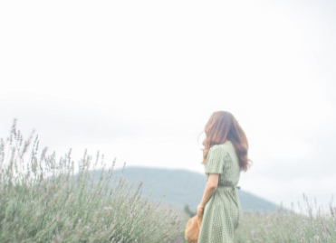 전북 정읍 허브원 입장료