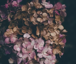 전국 9월 축제 행사 일정