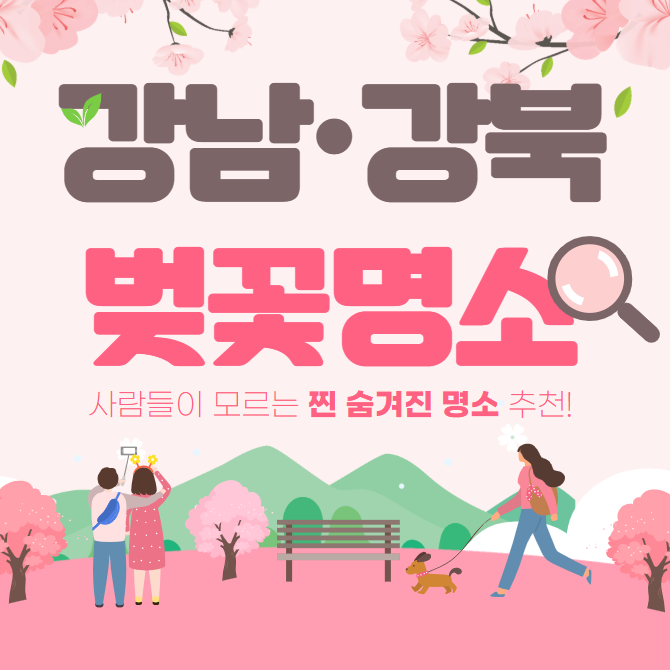 강남·강북 벚꽃 명소 글귀 이미지