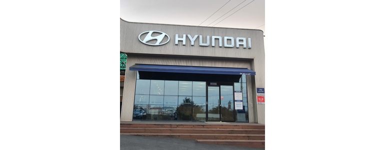 대구 달성군 블루핸즈