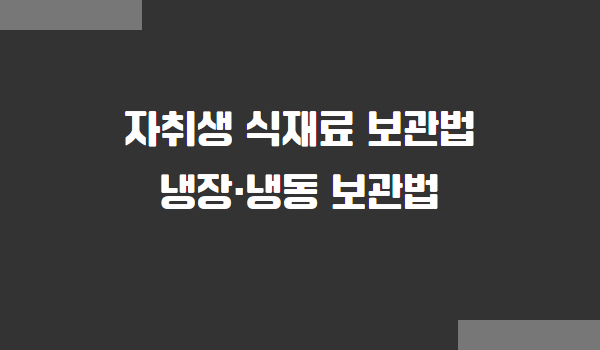식재료 보관법, 냉장 냉동 보관하는 방법
