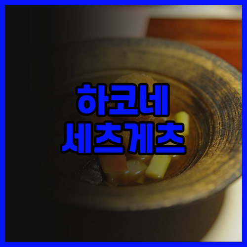 하코네 세츠게츠카 료칸 후기 2024