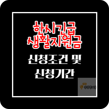 한시긴급생활지원금