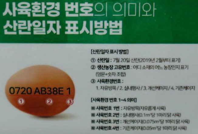 신선하고 좋은 계란 고르는 법1