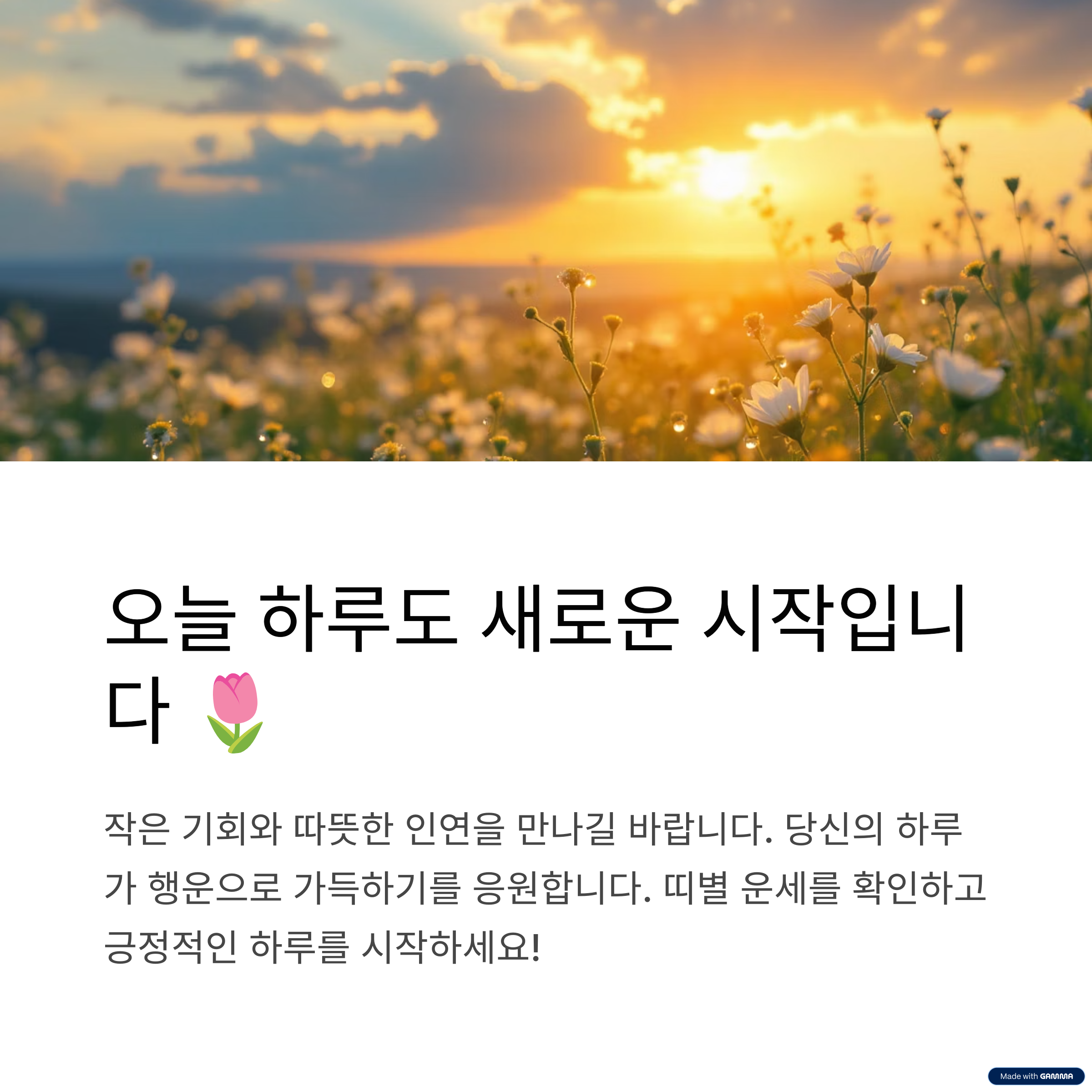 오늘의 운세