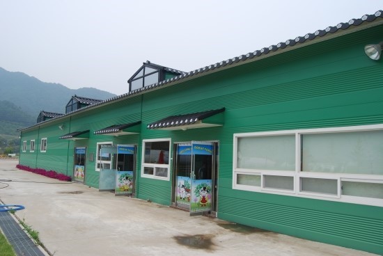 대체텍스트