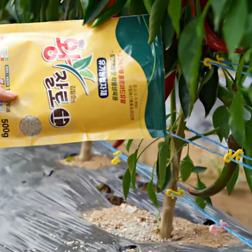 김일호 왕잘토 유기농 식물성 영양제의 효능