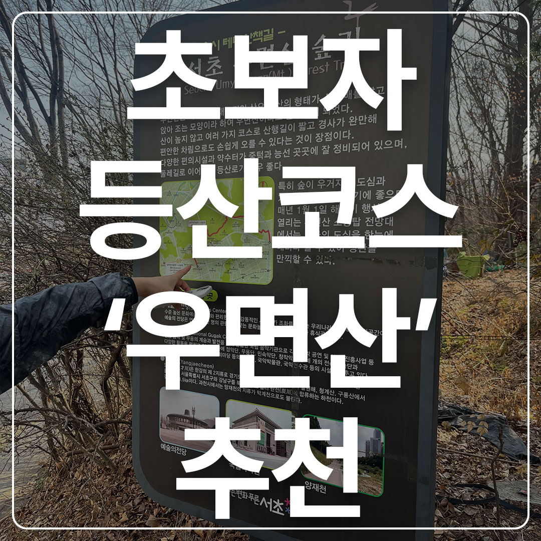 우면산등산코스