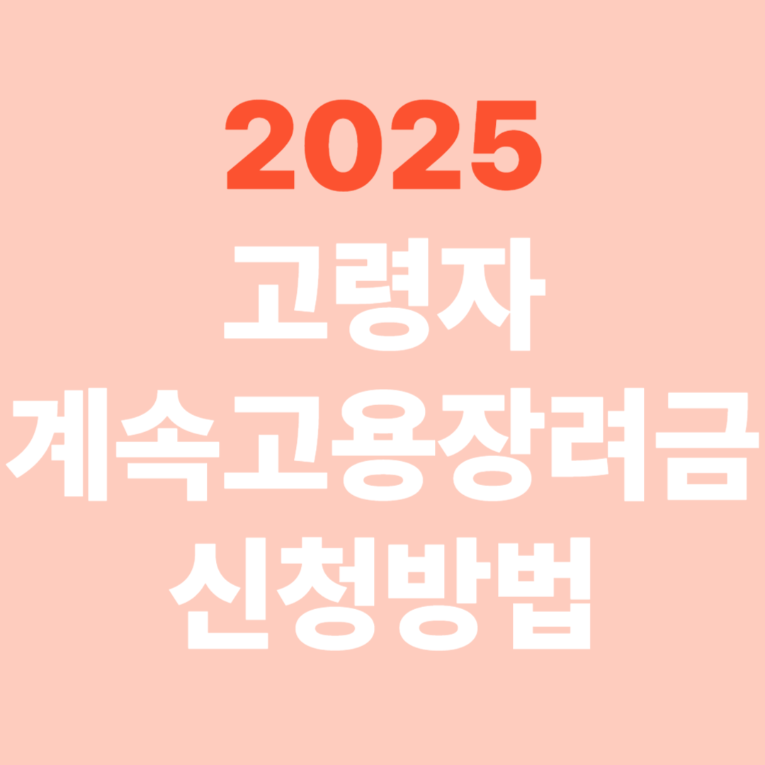 2025 고령자 계속고용장려금 신청 방법