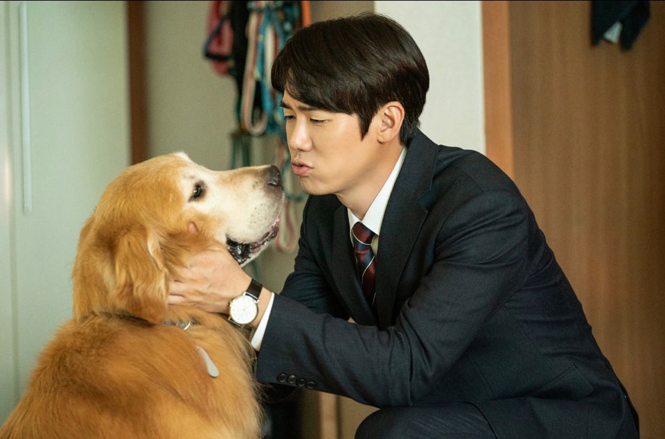 멍뭉이 영화 정보 관전 포인트 인터뷰 정리