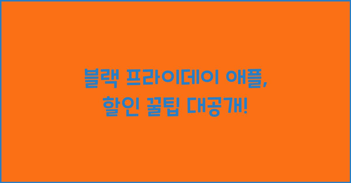 블랙 프라이데이 애플
