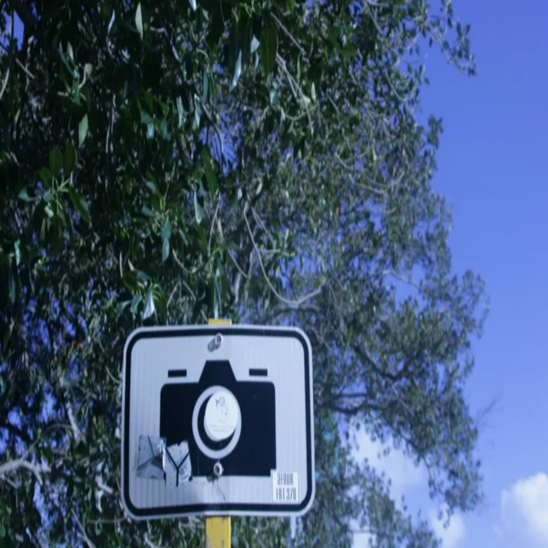 영상 포토존 관련 사진