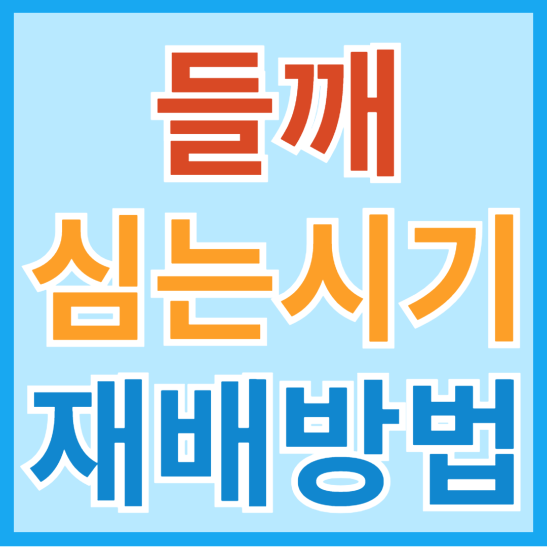 중부, 남부지방 들깨 파종, 모종 심는 시기 및 재배, 수확 방법