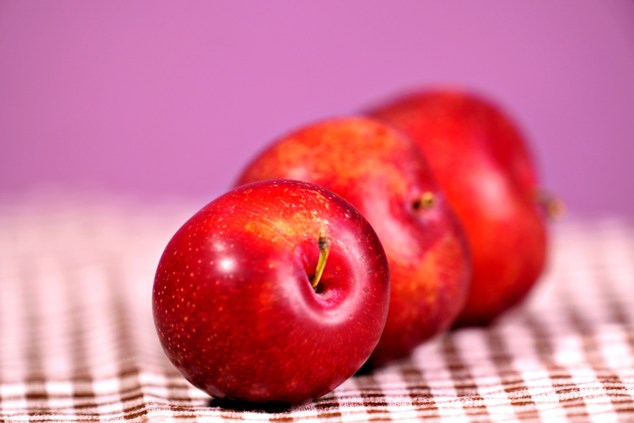 자두씨 일반쓰레기