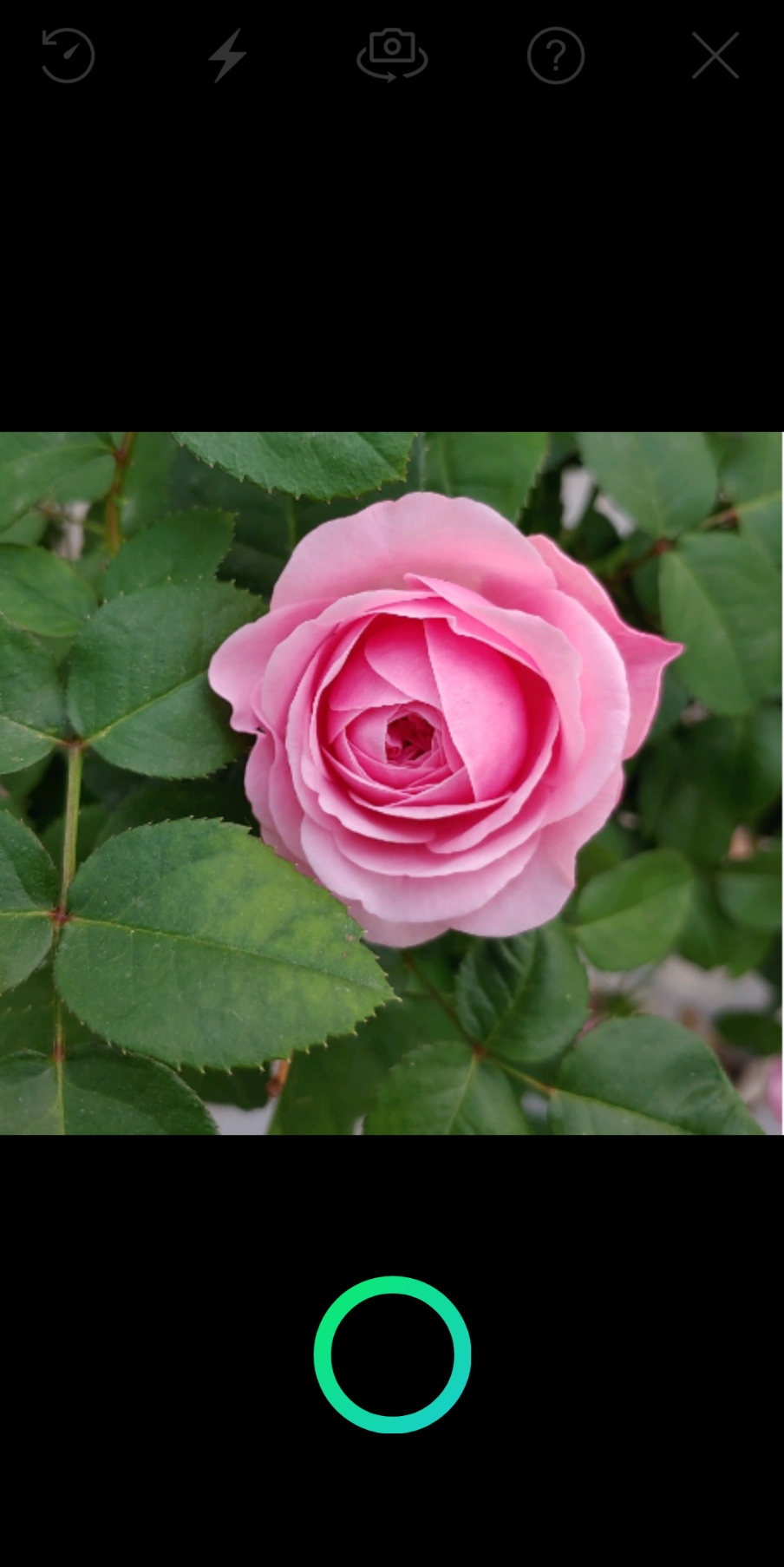 꽃이름 찾기 화면