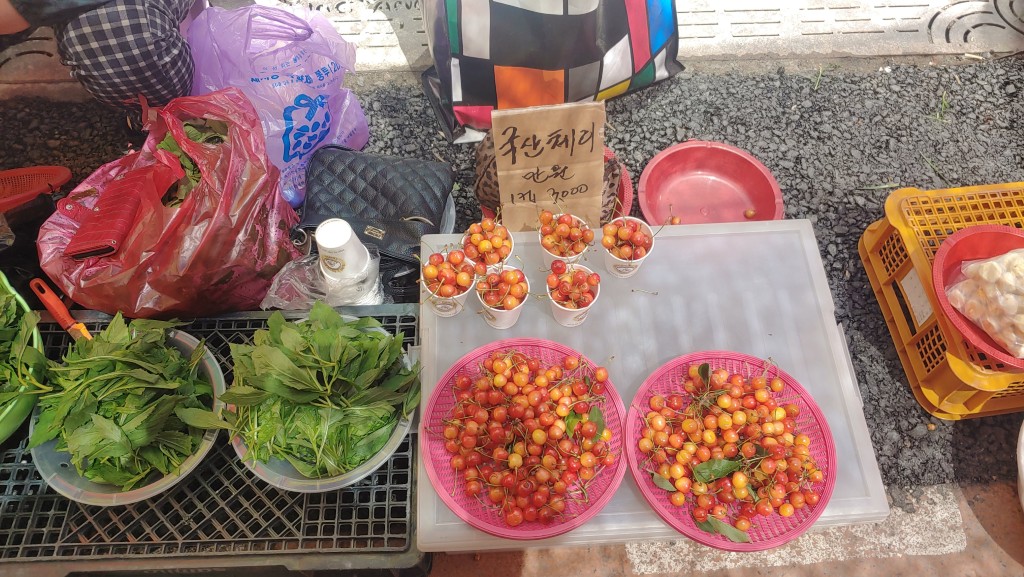 인제 장날 체리와 산나물을 판매하는 좌판 모습