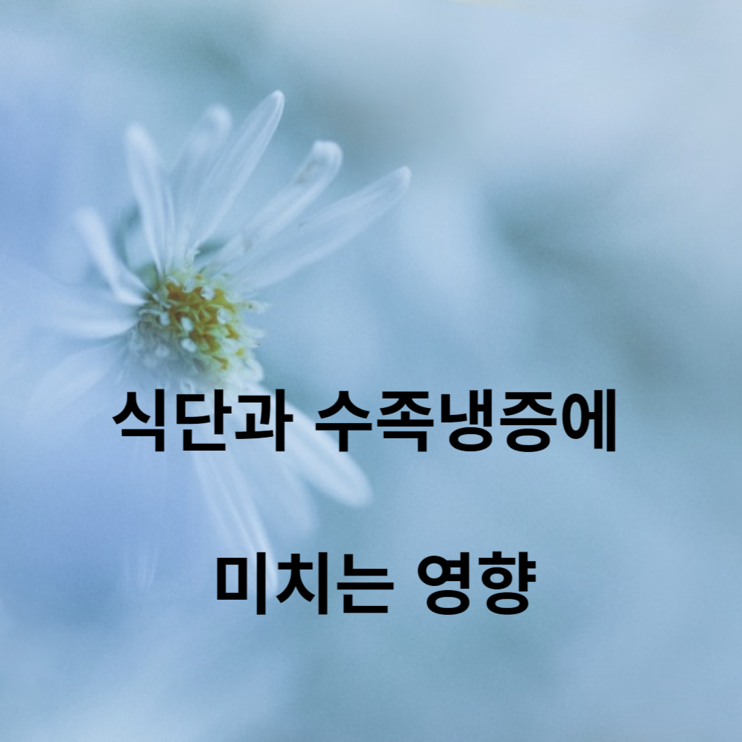 식단과 수족냉증에 미치는 영향