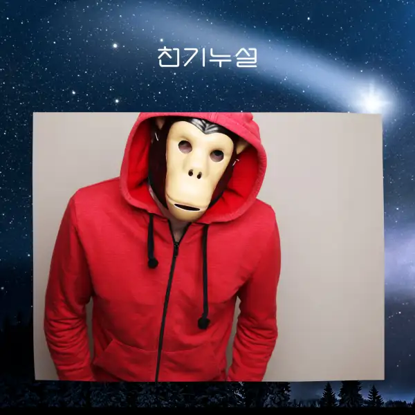 원숭이가 나오는 꿈해몽