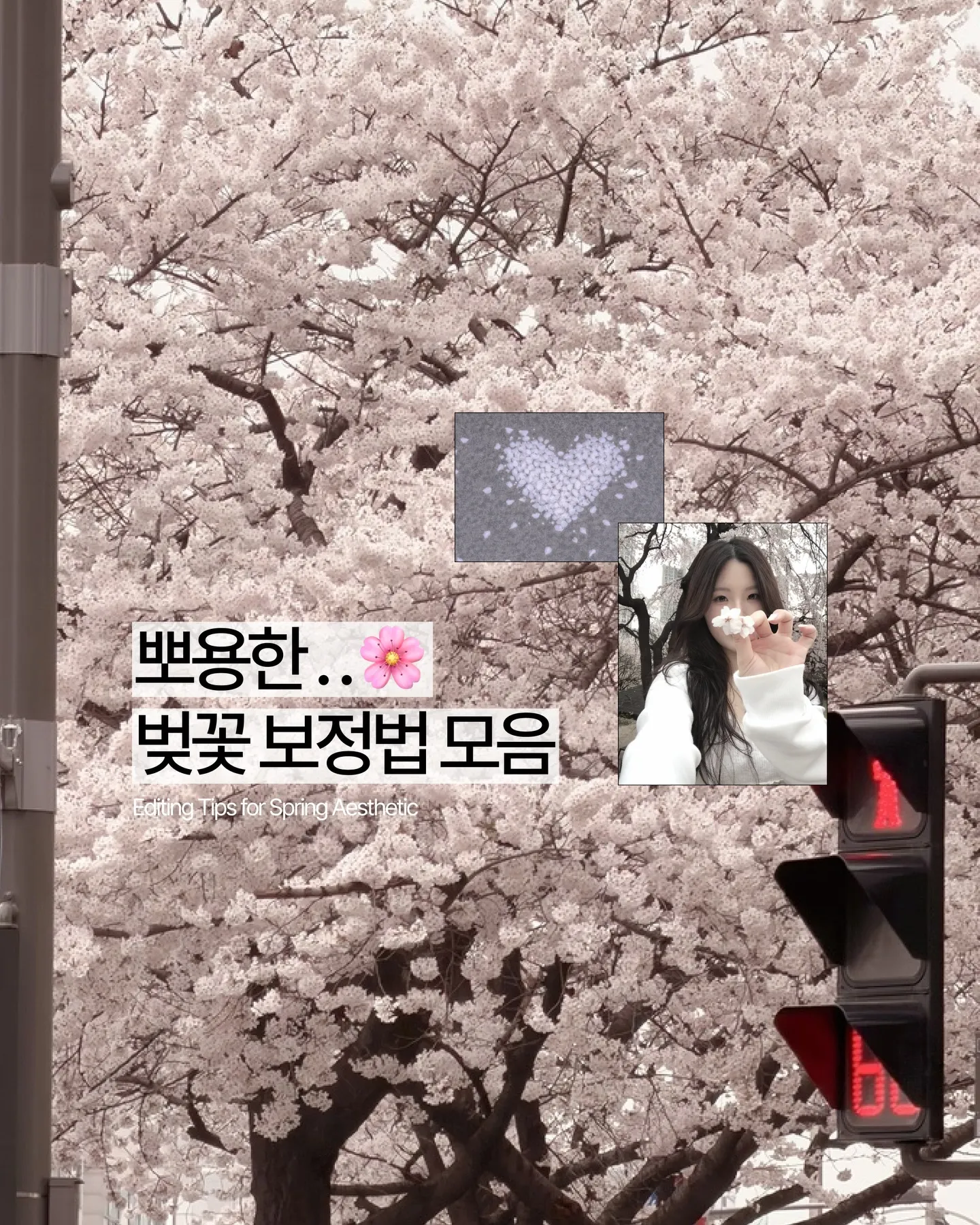 베리필름 살펴보기 2