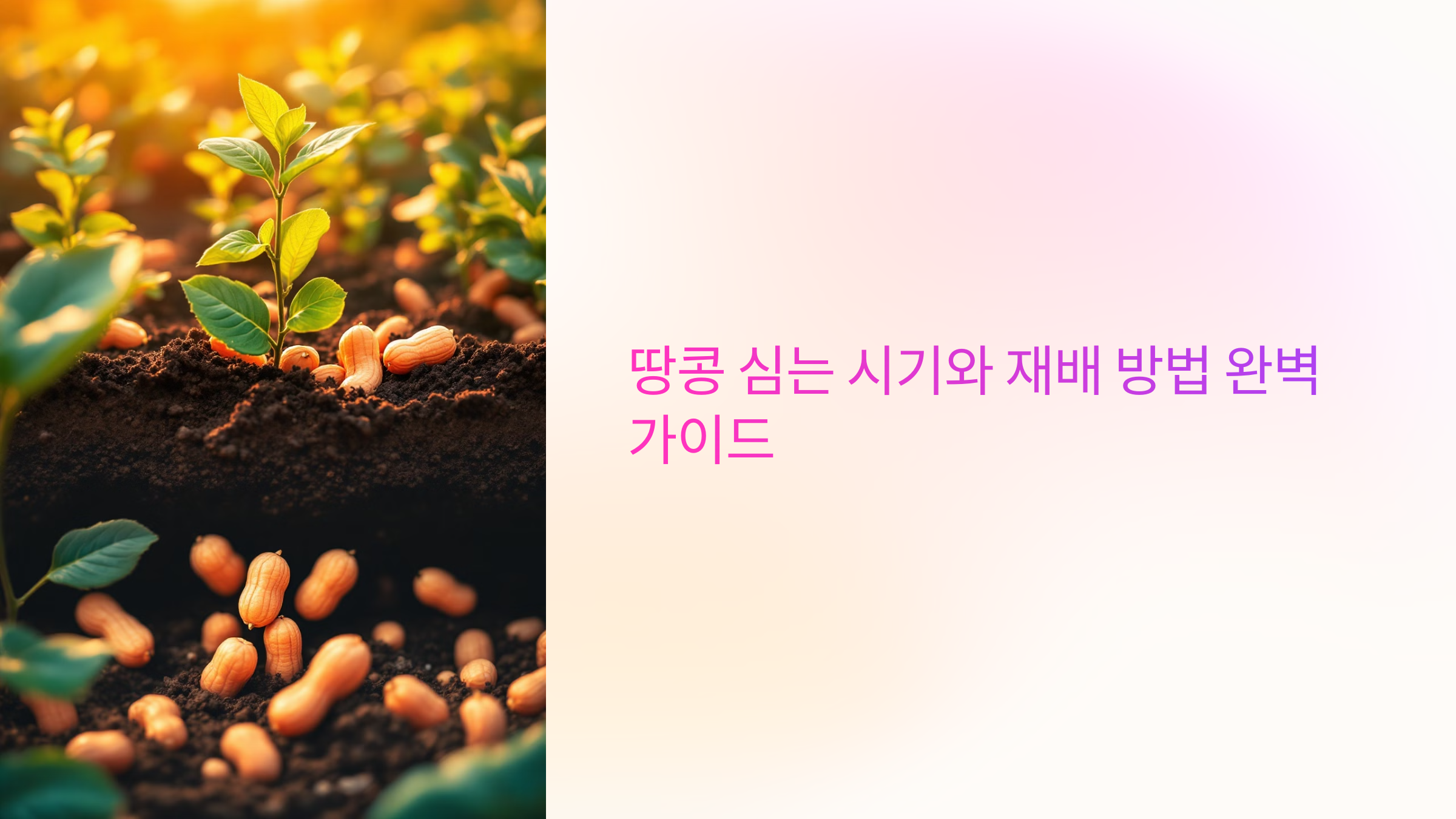 땅콩 심는 시기와 재배 방법 완벽 가이드