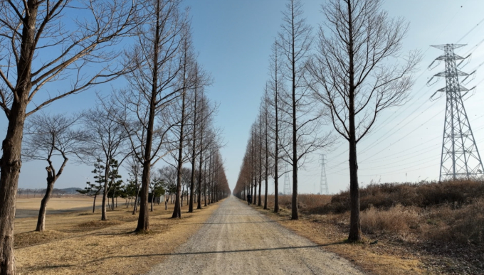 동네 한 바퀴 안산 나시고랭 이조 인도네시아 식당 위치 및 대부도 갓굴 고추장 칼국수, 독살 광어회 맛집 총정리