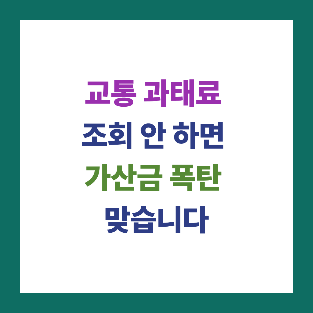 교통 과태료 조회 안 하면 가산금 폭탄 맞습니다